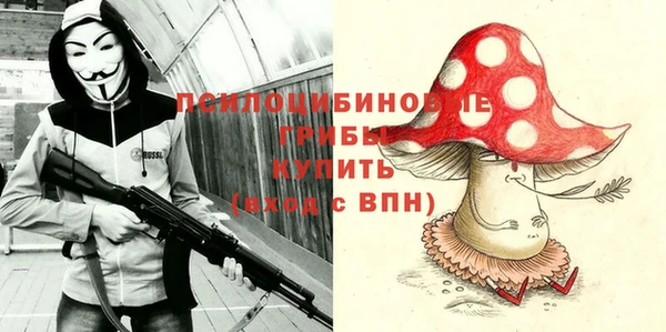 индика Володарск