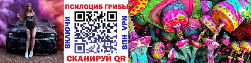 Псилоцибиновые грибы Psilocybe  наркошоп  Озёры 
